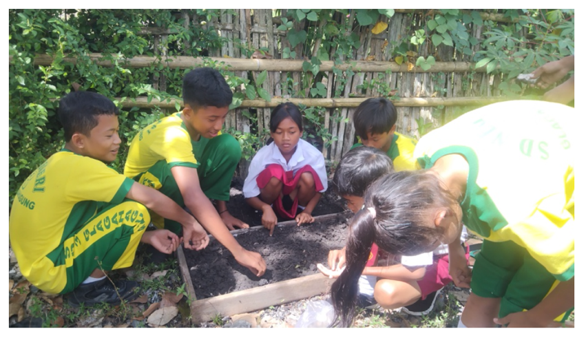 Seeds Planting as a Learning in Improving Literacy Activities of Elementary School Students